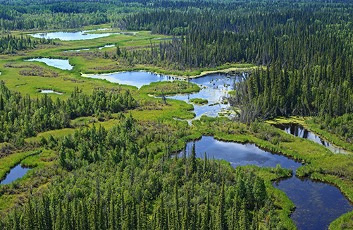 boreal aerial - Prairie Habitat Joint Venture