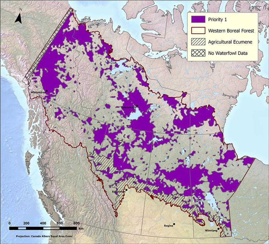 Western Boreal Forest waterfowl priority areas.